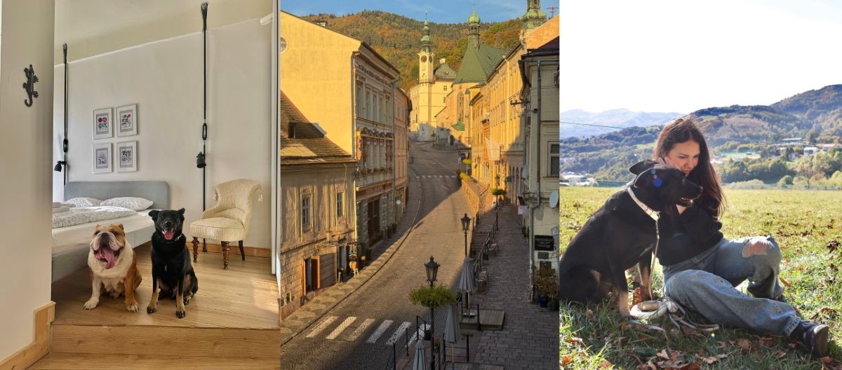 ubytovanie na Slovensku so psom